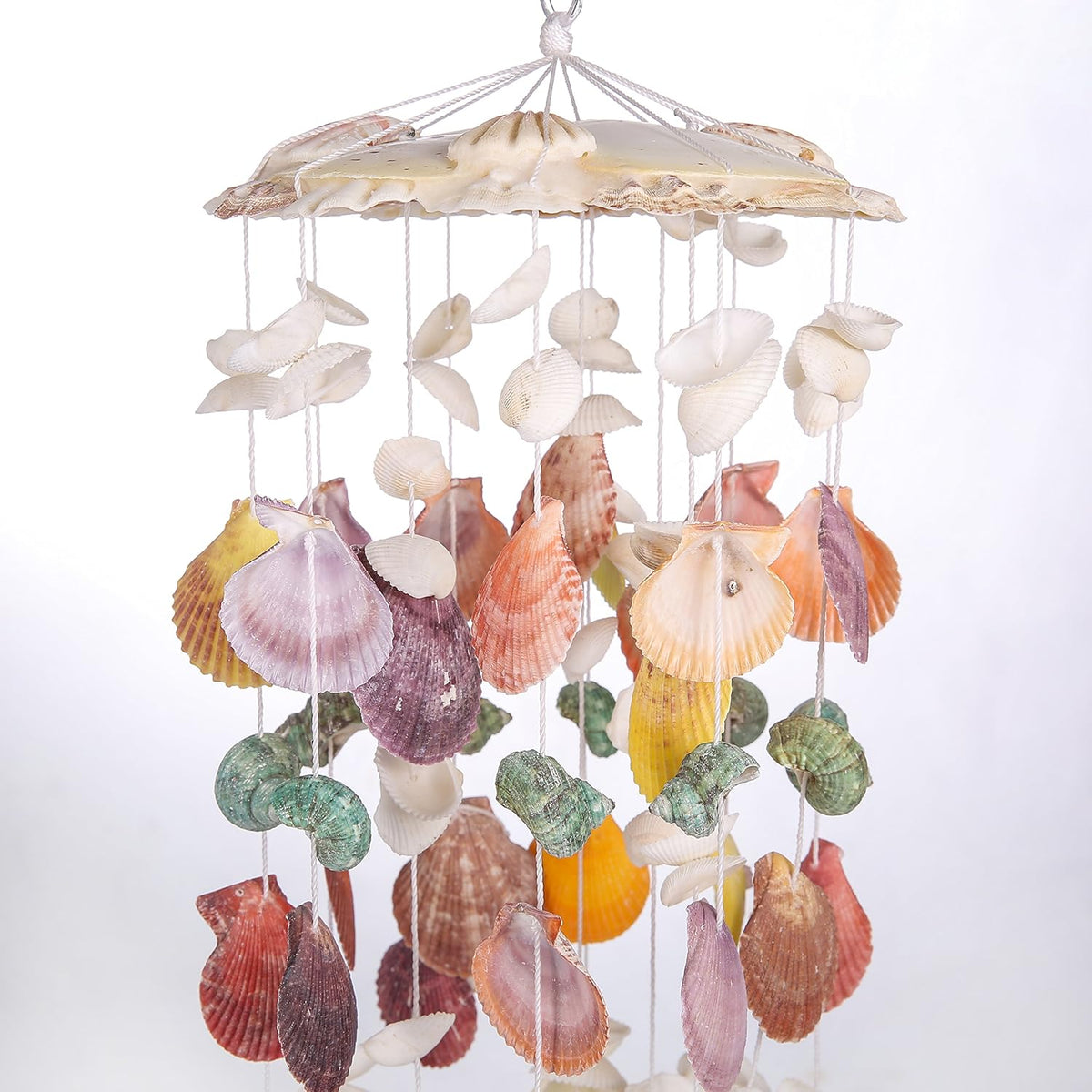 Nature's melody seashell Wind Chimes for Outdoor